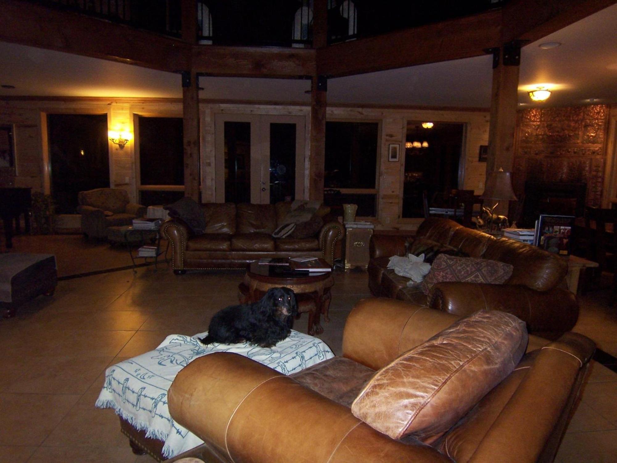 Elktrace Bed And Breakfast Пагоса Спрингс Екстериор снимка