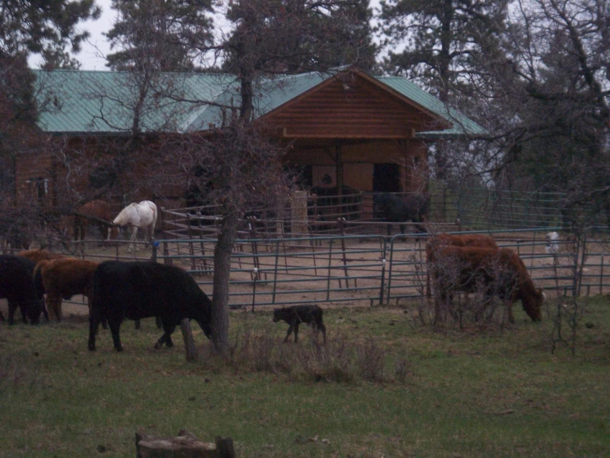 Elktrace Bed And Breakfast Пагоса Спрингс Екстериор снимка