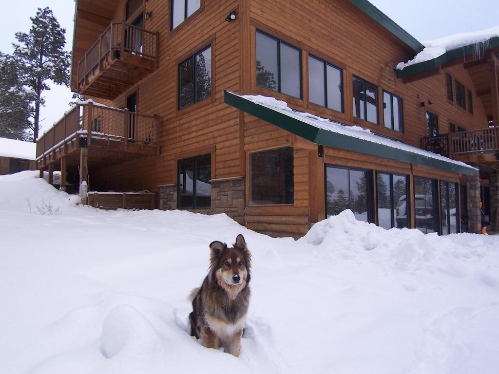 Elktrace Bed And Breakfast Пагоса Спрингс Екстериор снимка