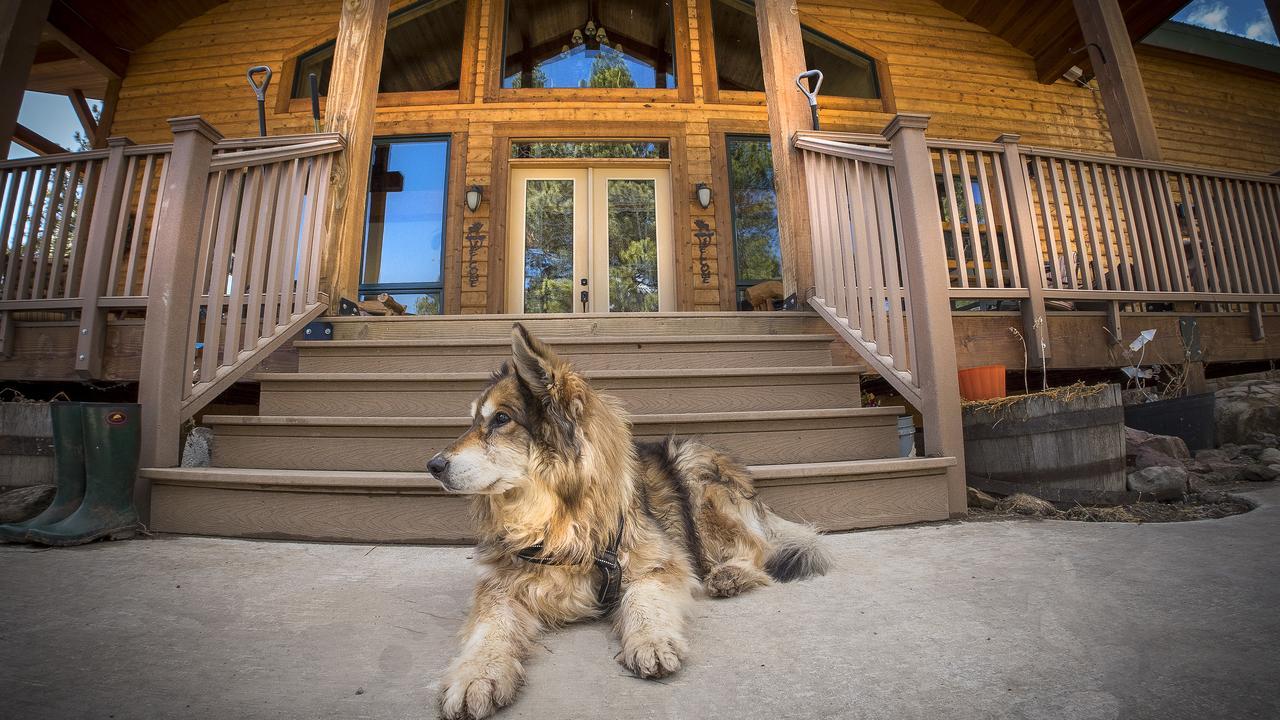 Elktrace Bed And Breakfast Пагоса Спрингс Екстериор снимка
